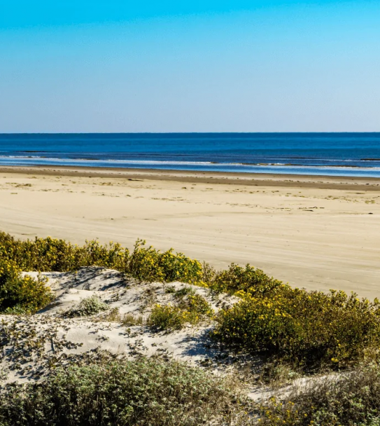 fc4746d7d38bcd76a09c6af140a334acc9386249